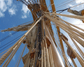amerigo vespucci