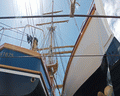 amerigo vespucci