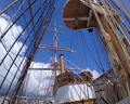 amerigo vespucci