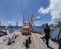 amerigo vespucci