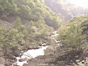 PICT0487.JPG