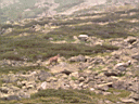 PICT0492.JPG