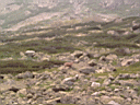 PICT0493.JPG