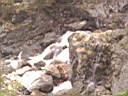 PICT0495.JPG