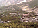 PICT0498.JPG