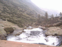 PICT0503.JPG
