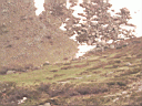 PICT0530.JPG