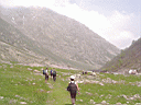 PICT0531.JPG