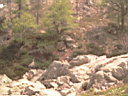 PICT0532.JPG