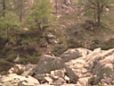 PICT0533.JPG