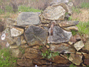 P5141550.JPG