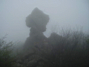 P5141556.JPG