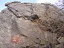 P4021266.JPG