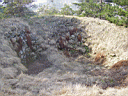 P4021280.JPG