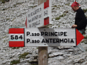 P8250210.JPG