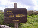 P8220146.JPG