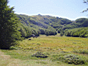 Il prato della Cipolla sotto il Monte Bue e il Maggiorasca