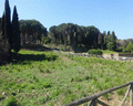 acropoli di baratti e populonia
