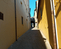 bibbona
