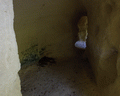 le grotte gialle