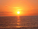 Sole di Sicilia, 2005