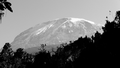 Kilimanjaro
