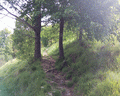 Monte Castelletti