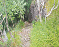 gifarco e roccabruna