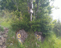 gifarco e roccabruna