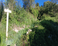 monte liprando