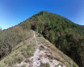 monte liprando