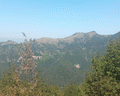monte liprando