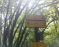 monte reale