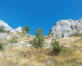 cima pian ballaur