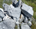 monte altissimo e pelato
