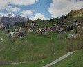 chamois