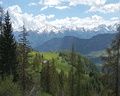 chamois antola