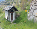 chamois