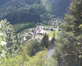 chamois antola