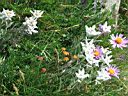 P6101868.JPG