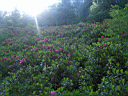 P6101868.JPG