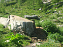 P6101868.JPG