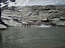 P7022075.jpg