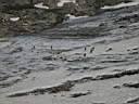 P7022076.jpg